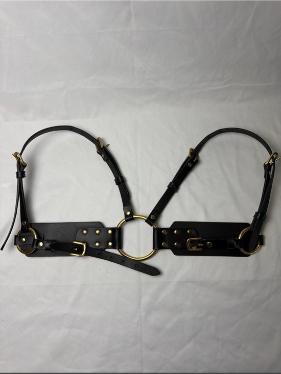 Ardeo Brass High Waist Harness